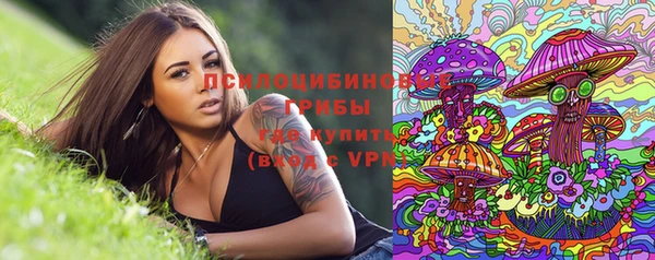 прущие крисы Каменногорск