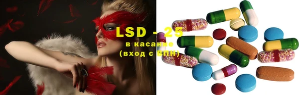 прущие крисы Каменногорск