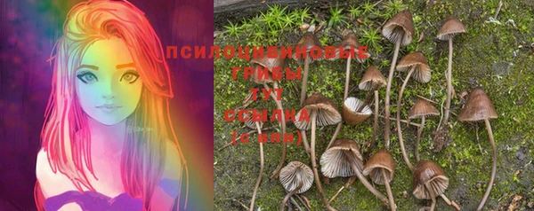 гашиш Инта