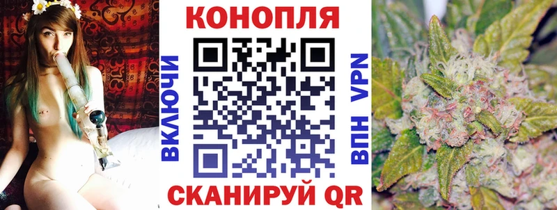 Купить где  Куровское  Конопля семена 
